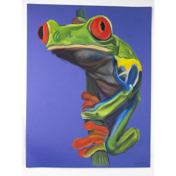 Elizabeth Hernandez, Artist, Red Eyed Frog, ADC Fine Art, soft