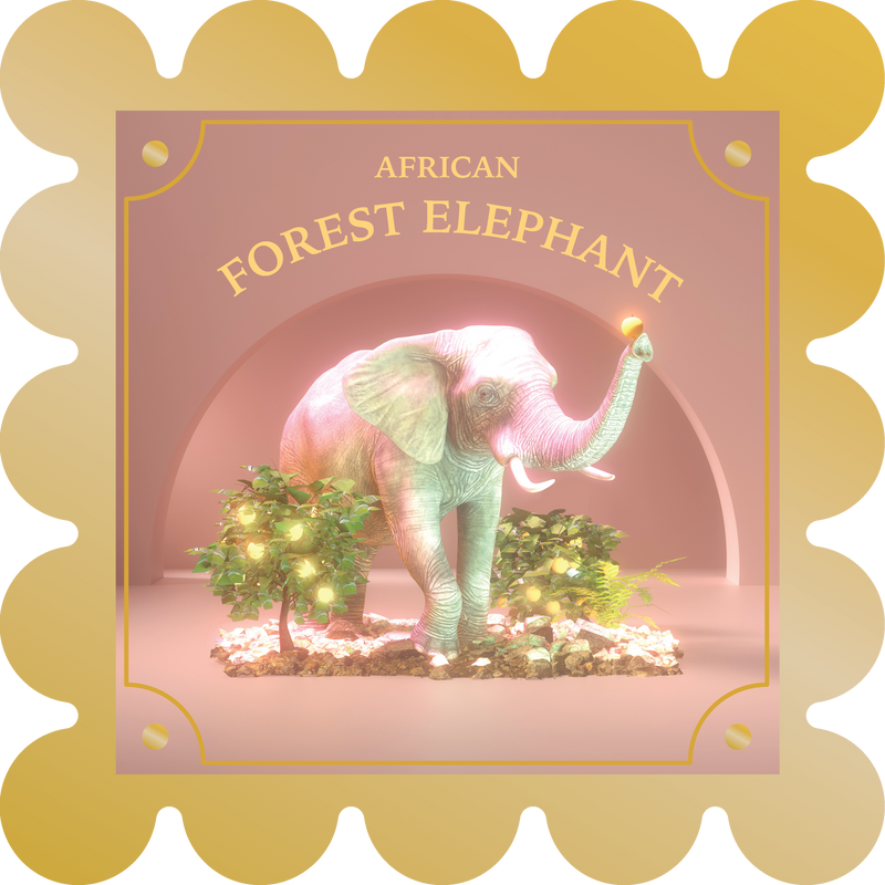 African Forest Elephant