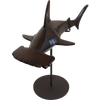 Hammerhead Shark