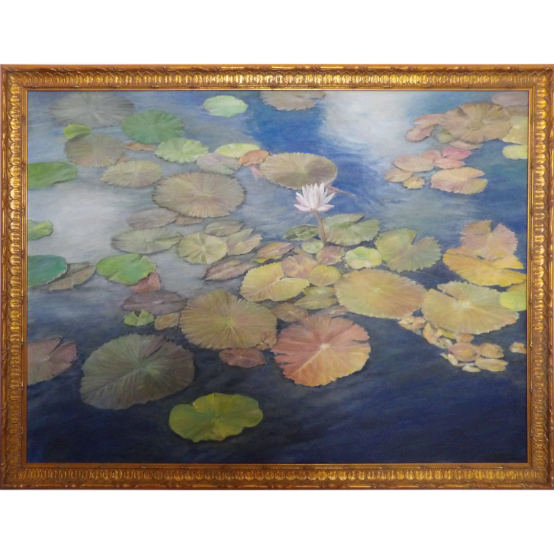 Lily Pond