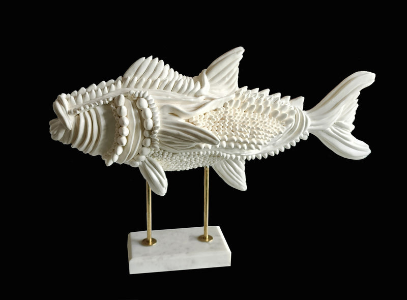 Aquatic Geometry