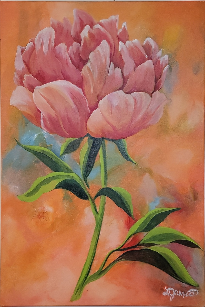 Spring Peony