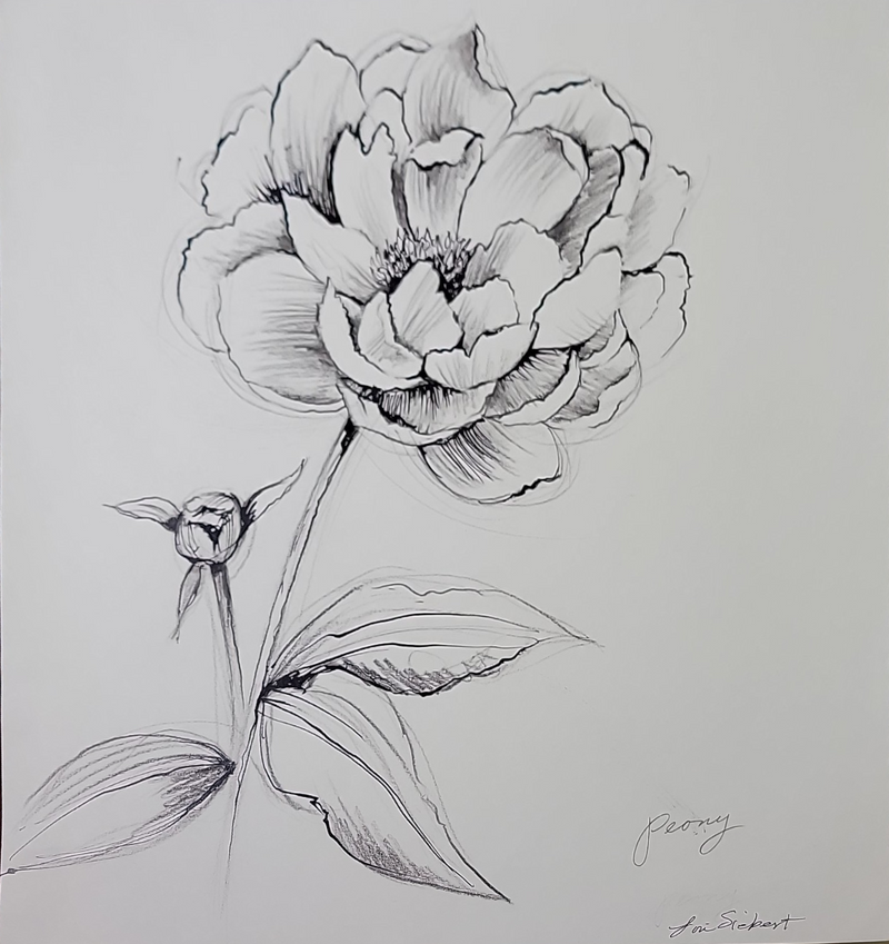 Peony