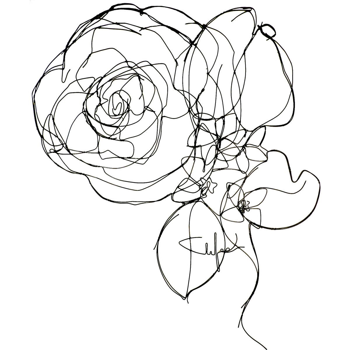 Rose