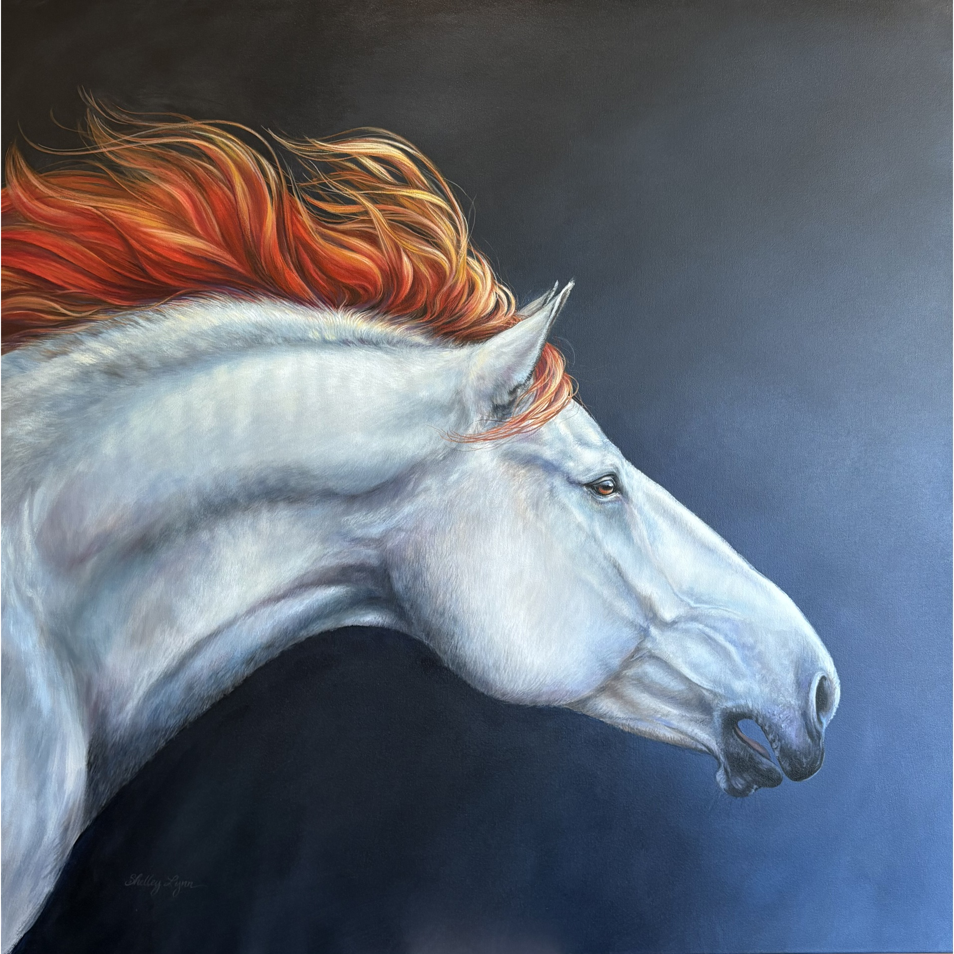 Blazing Stallion