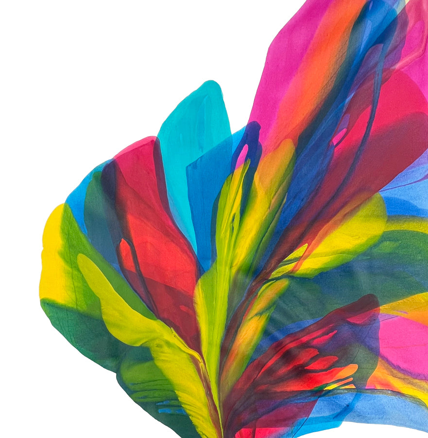 All the Colors I am Inside