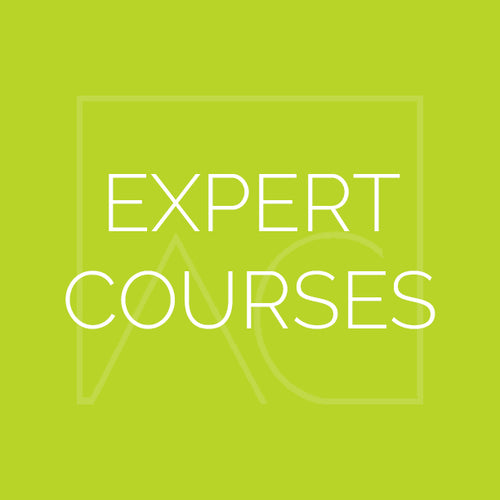 Expert Course- How to Get Your Art in Corporate Environments