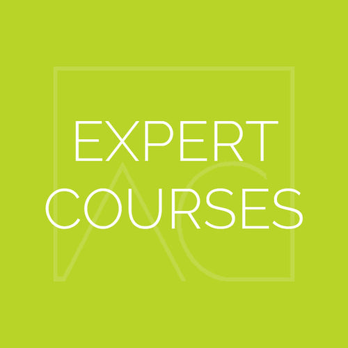 Expert Course - How To License Your Artwork